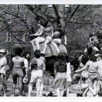 springspreeelephant_1984small.jpg